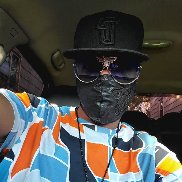dekingofde313